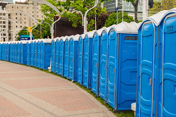 Best Portable Restroom Removal and Pickup  in Proctor, MN